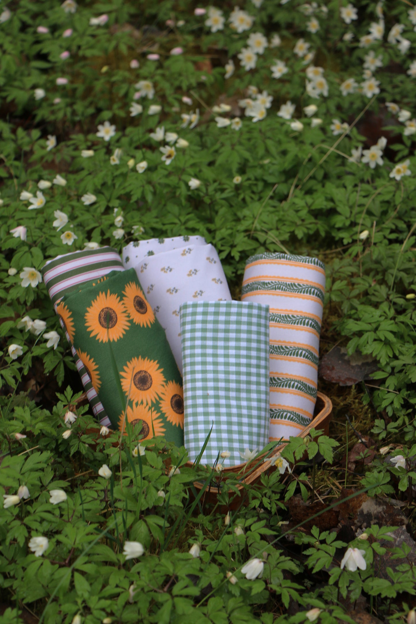 Vävd Solros 'Moss Green'