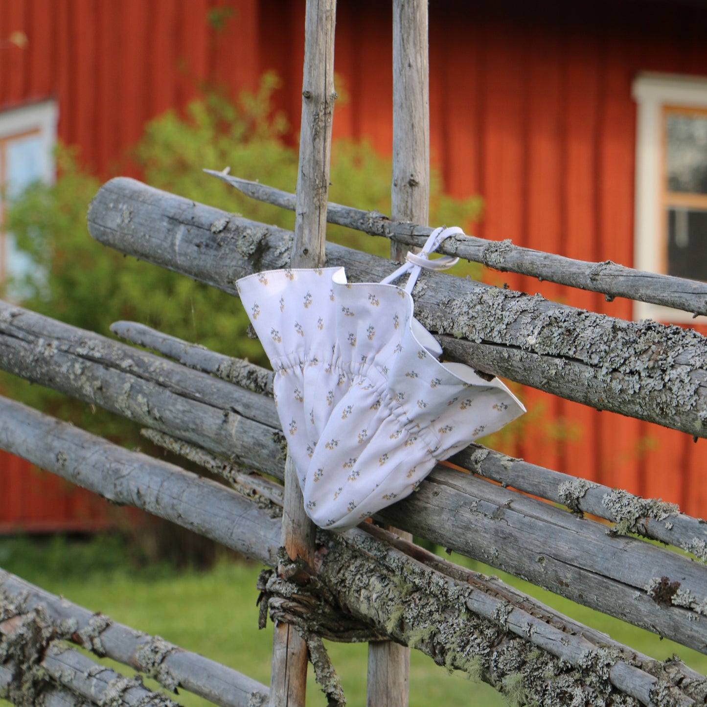 Vävd Gulmåra 'Creme'