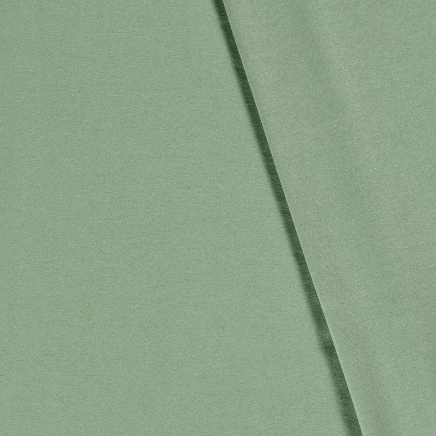 Enfärgad Trikå 'Dark Mint'