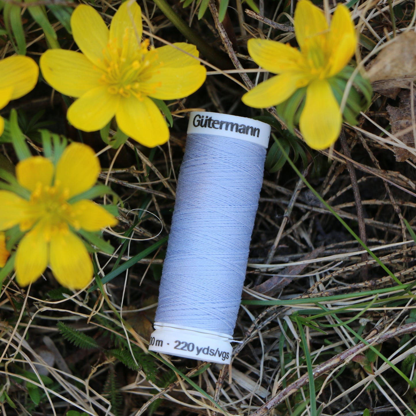 Tråd 'Light Blue / Sky Blue'