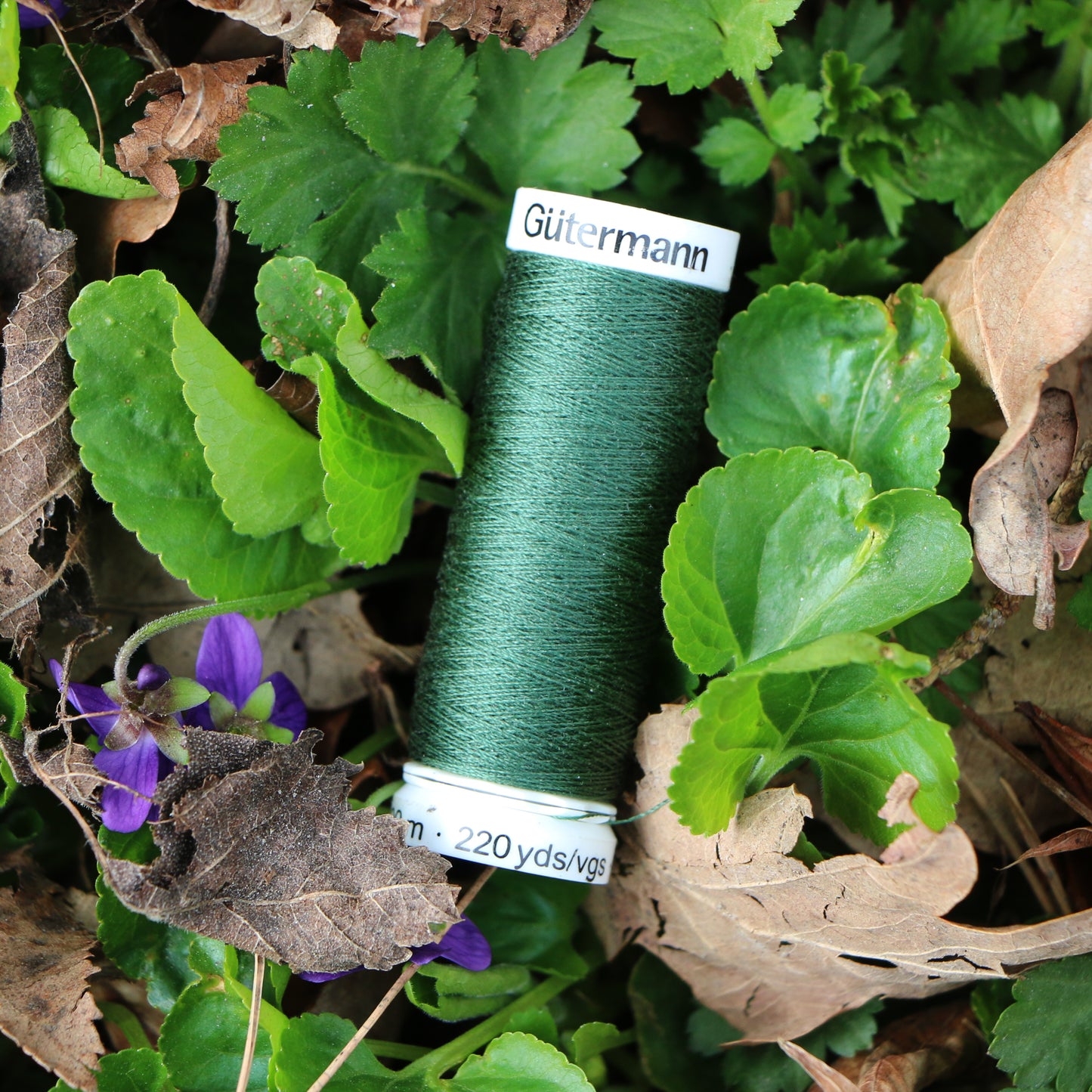 Tråd 'Green/Moss Green'