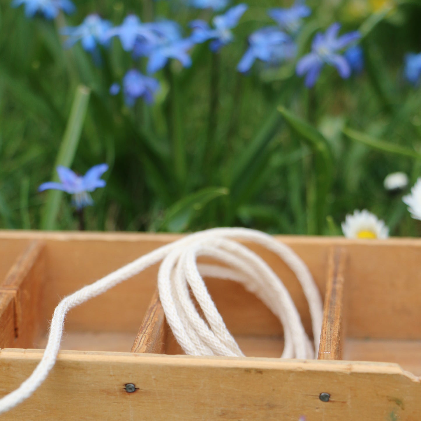 Anoraksnodd 3 mm 'Creme'