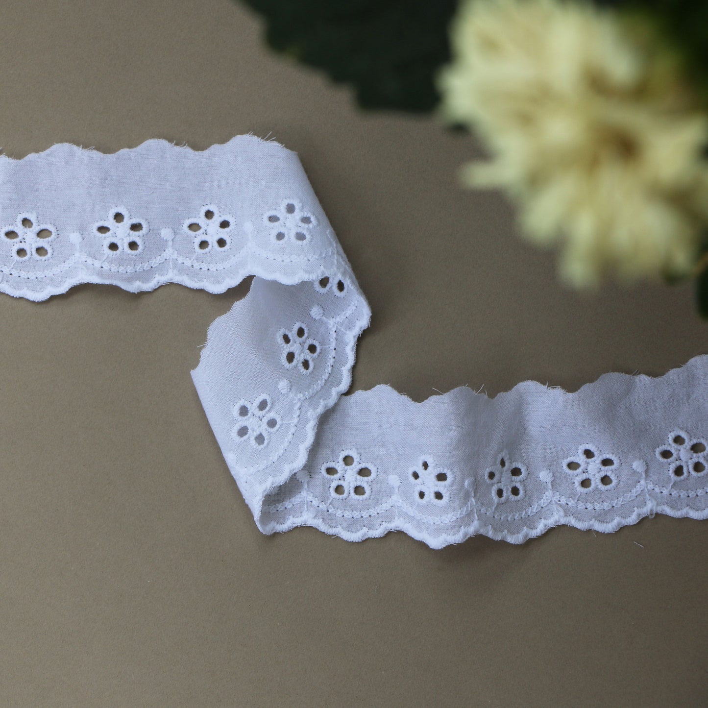 Embroidered Eyelet Lace – White with Floral Pattern