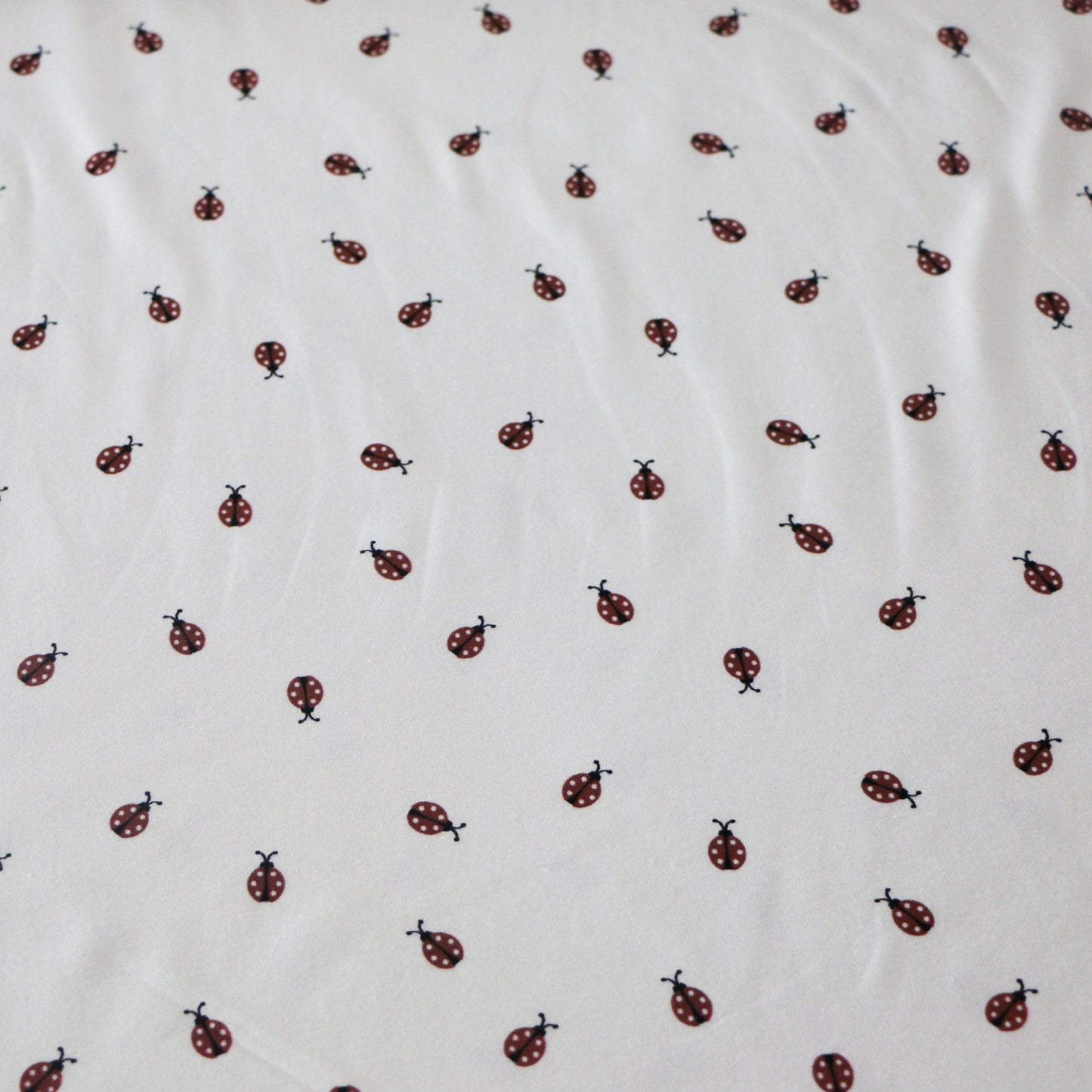 Jersey Ladybug 'Creme'