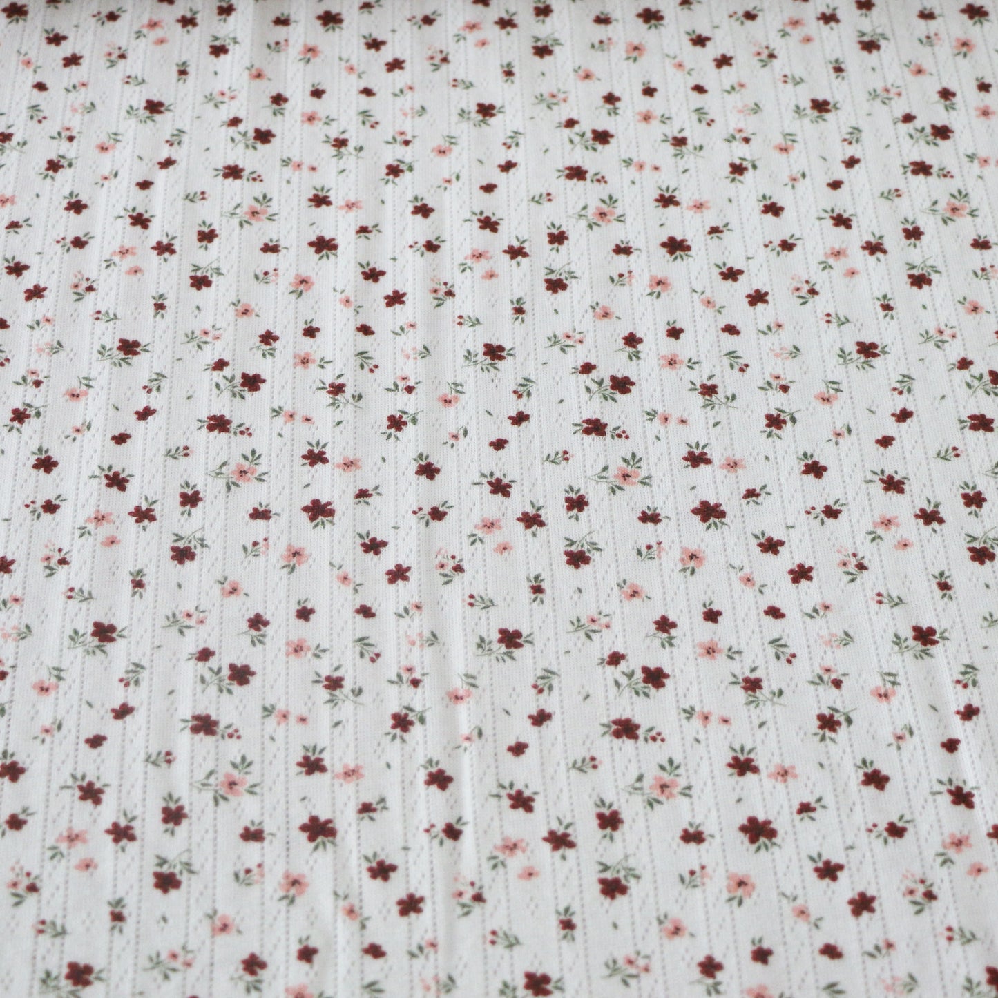 Pointelle Småblom 'Creme'