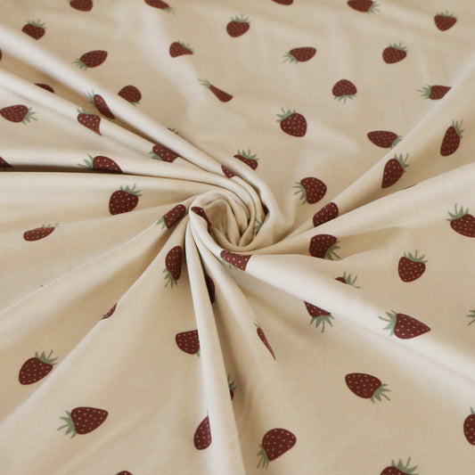 Jersey Erdbeere 'Vanilla'