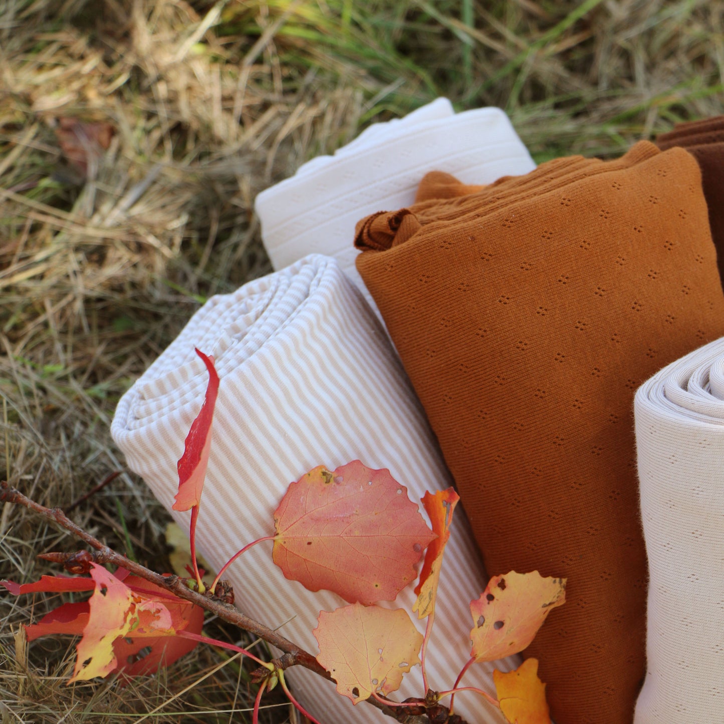 Ponitelle Jersey 'Caramel'
