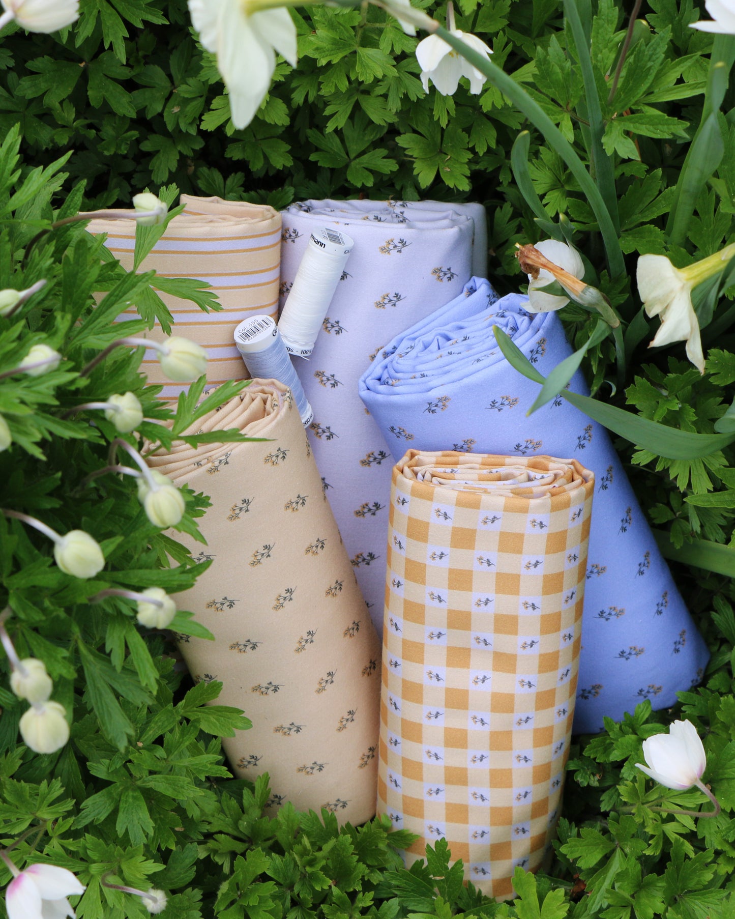 Woven Cotton Checkered Flower 'Butter & Creme'