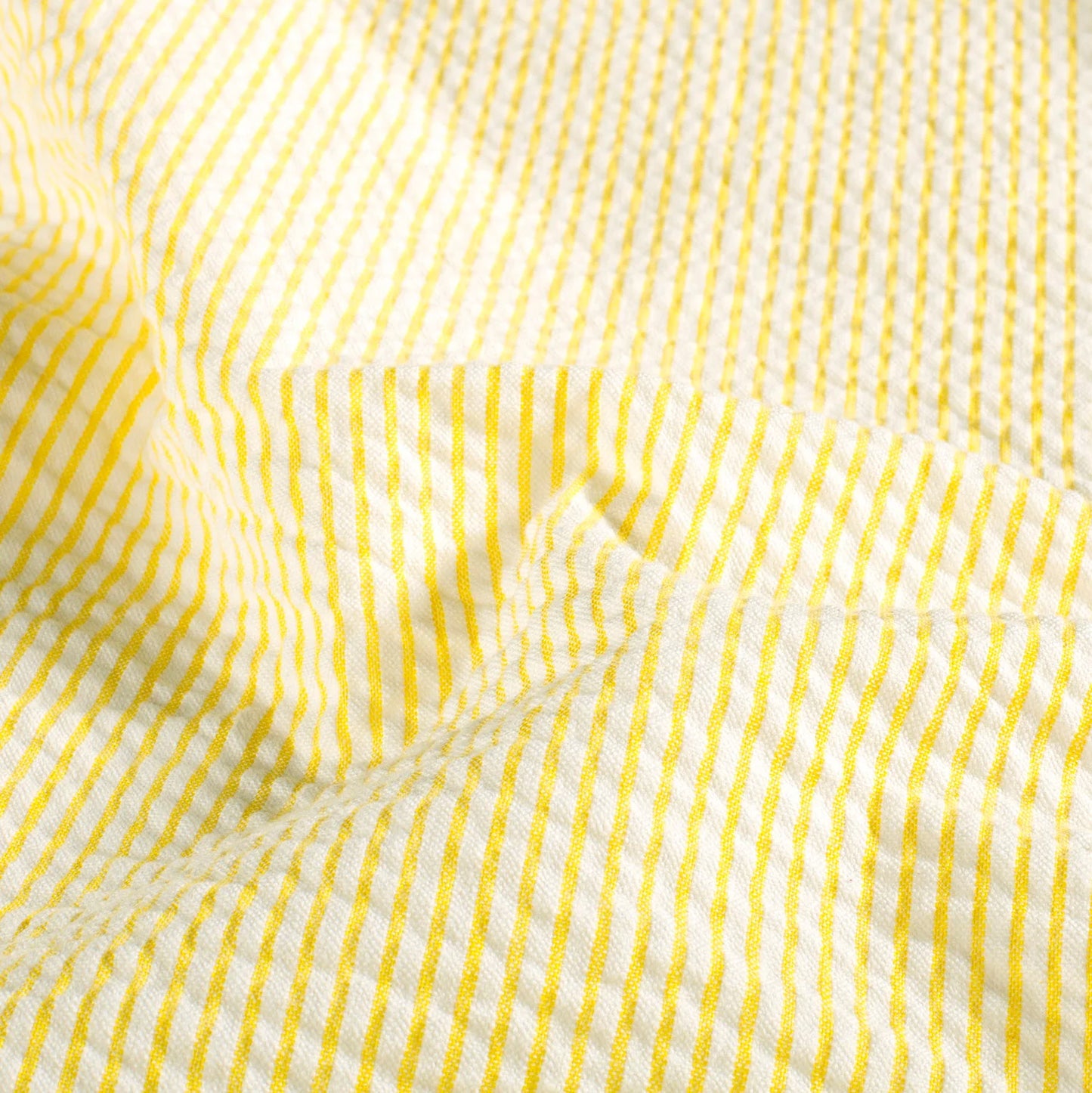 Bäckebölja Randig 'yellow' 1 m PreCut