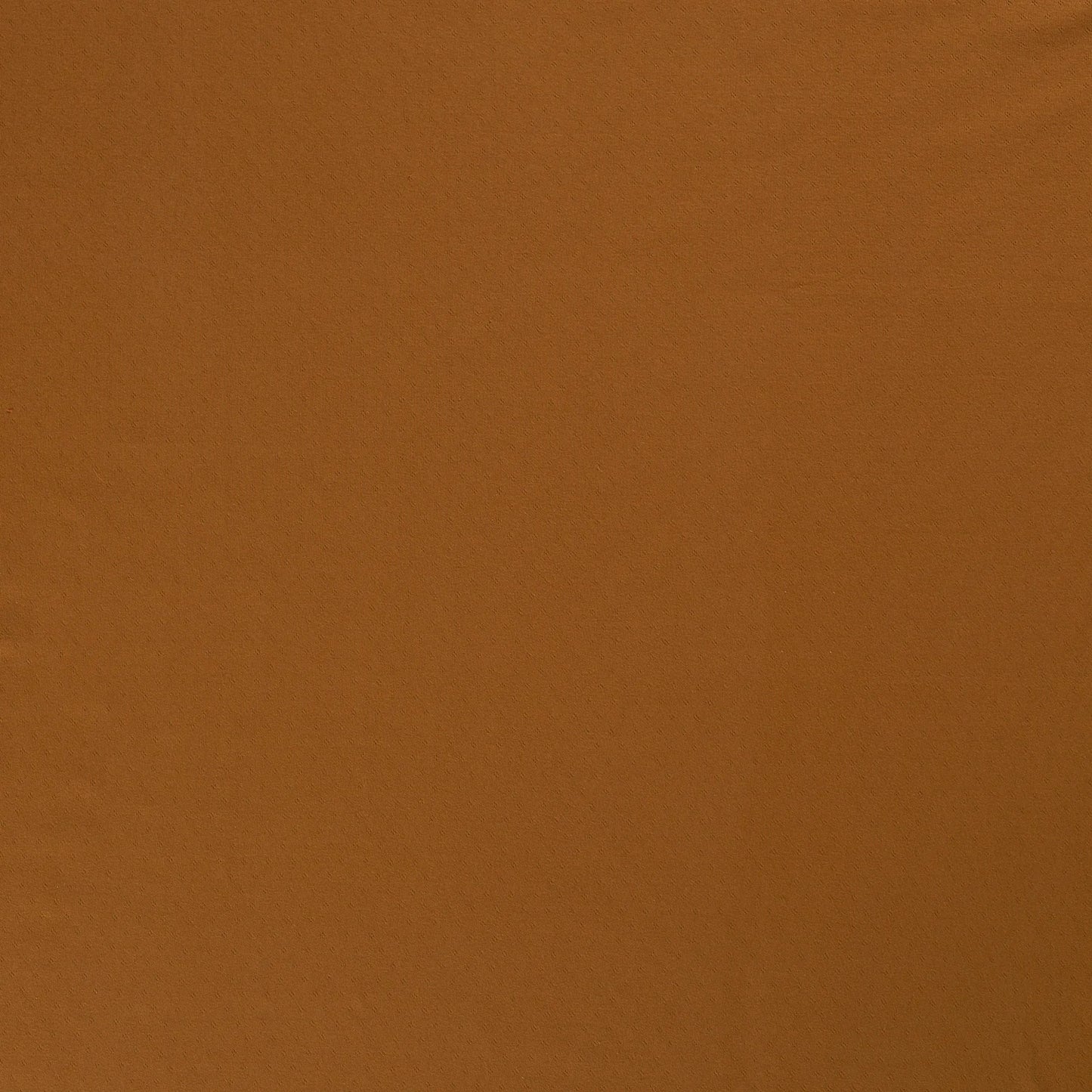 Ponitelle Jersey 'Caramel'