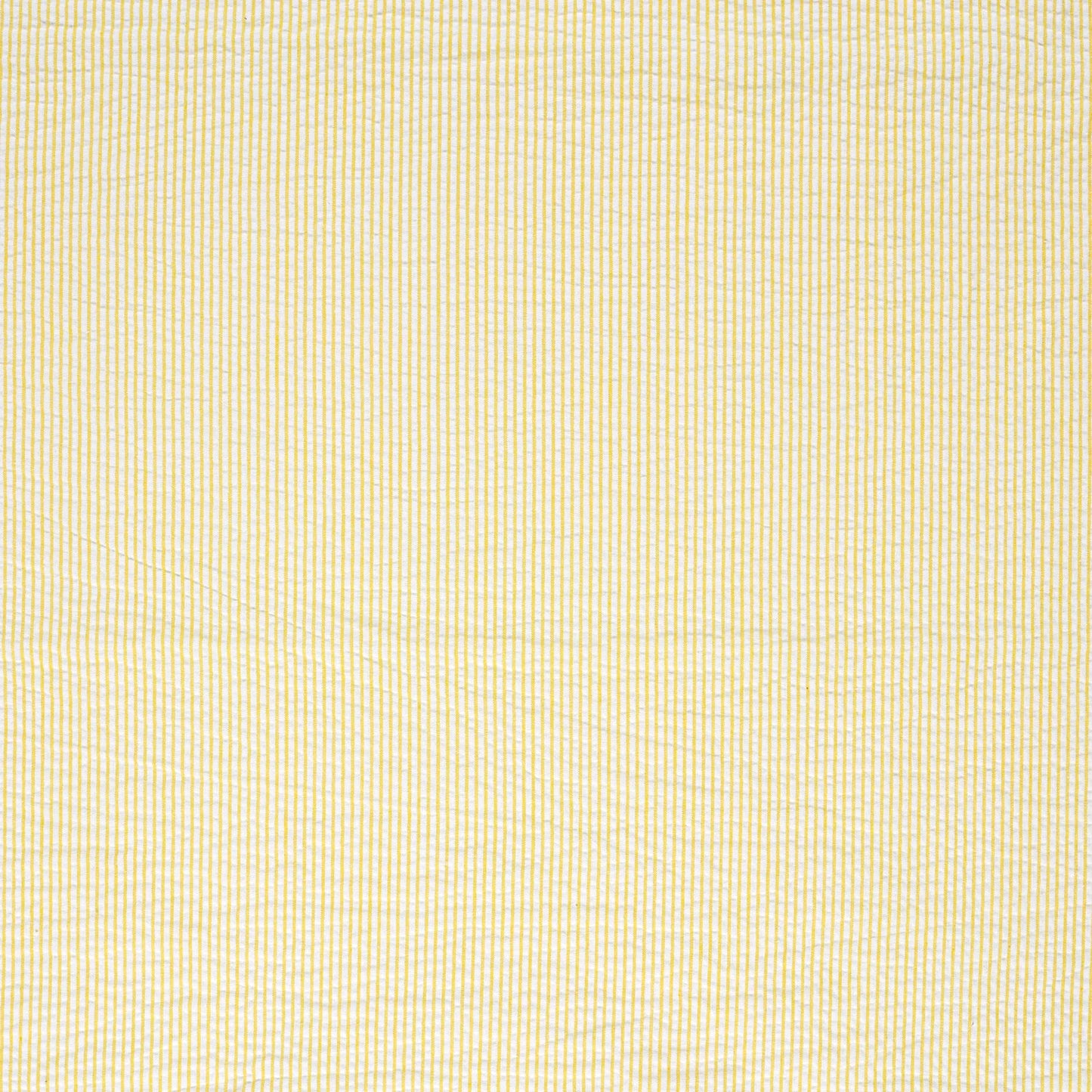 Bäckebölja Randig 'yellow'