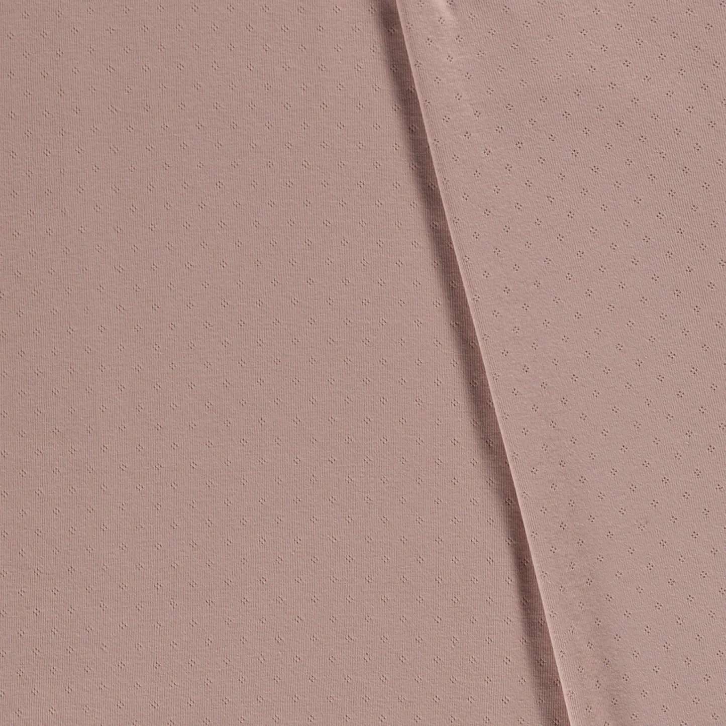 Ponitelle Jersey 'Rose'