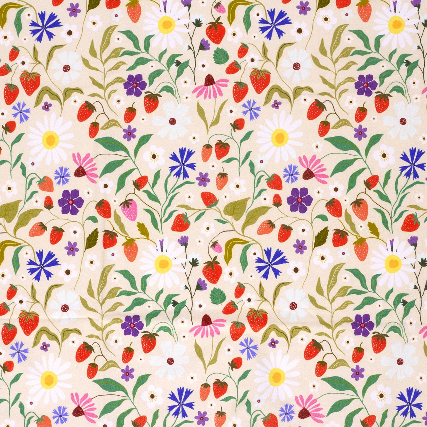French Terry Summer 'Vanilla'
