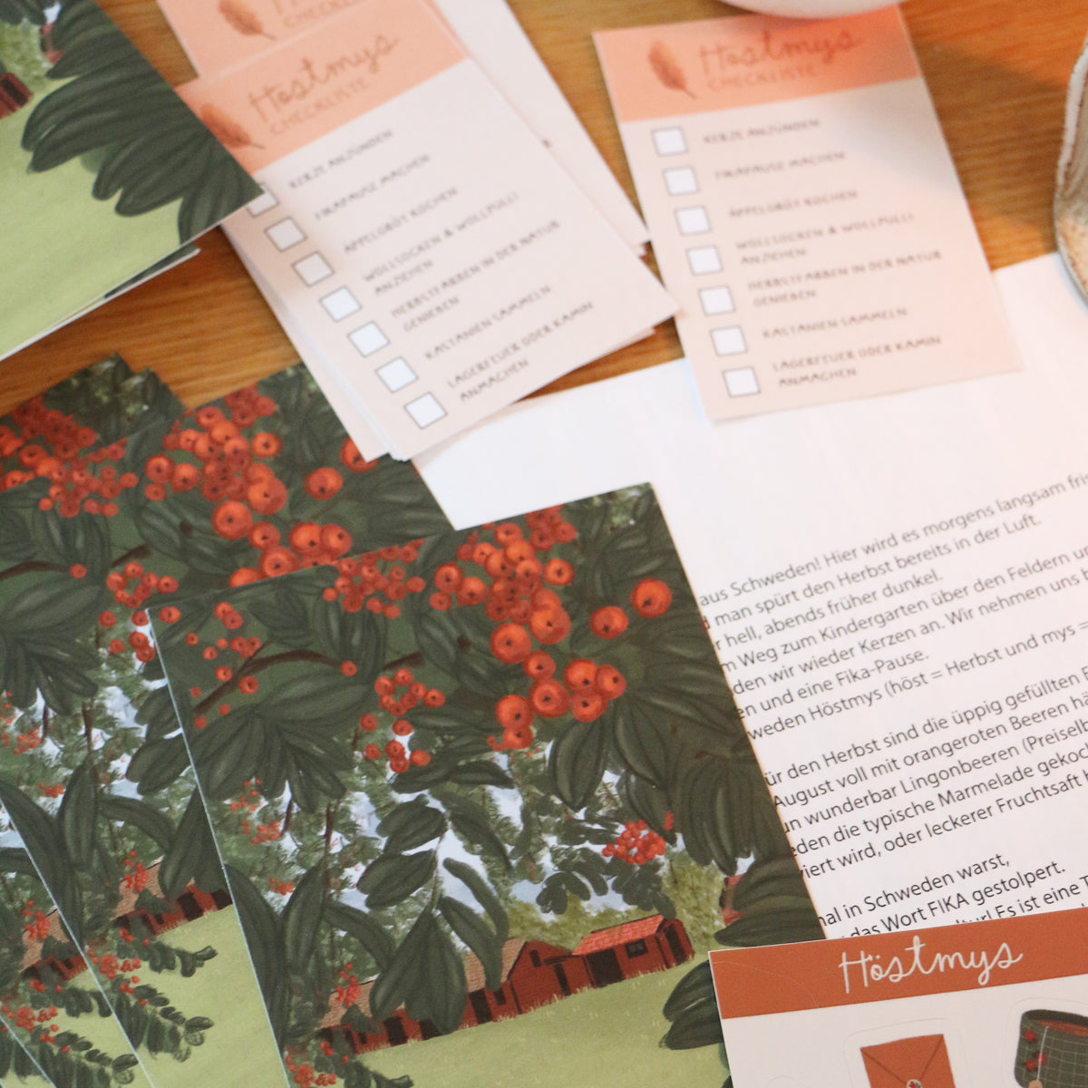 Snail Mail: Briefe aus Schweden Einmalig (only in German) 
