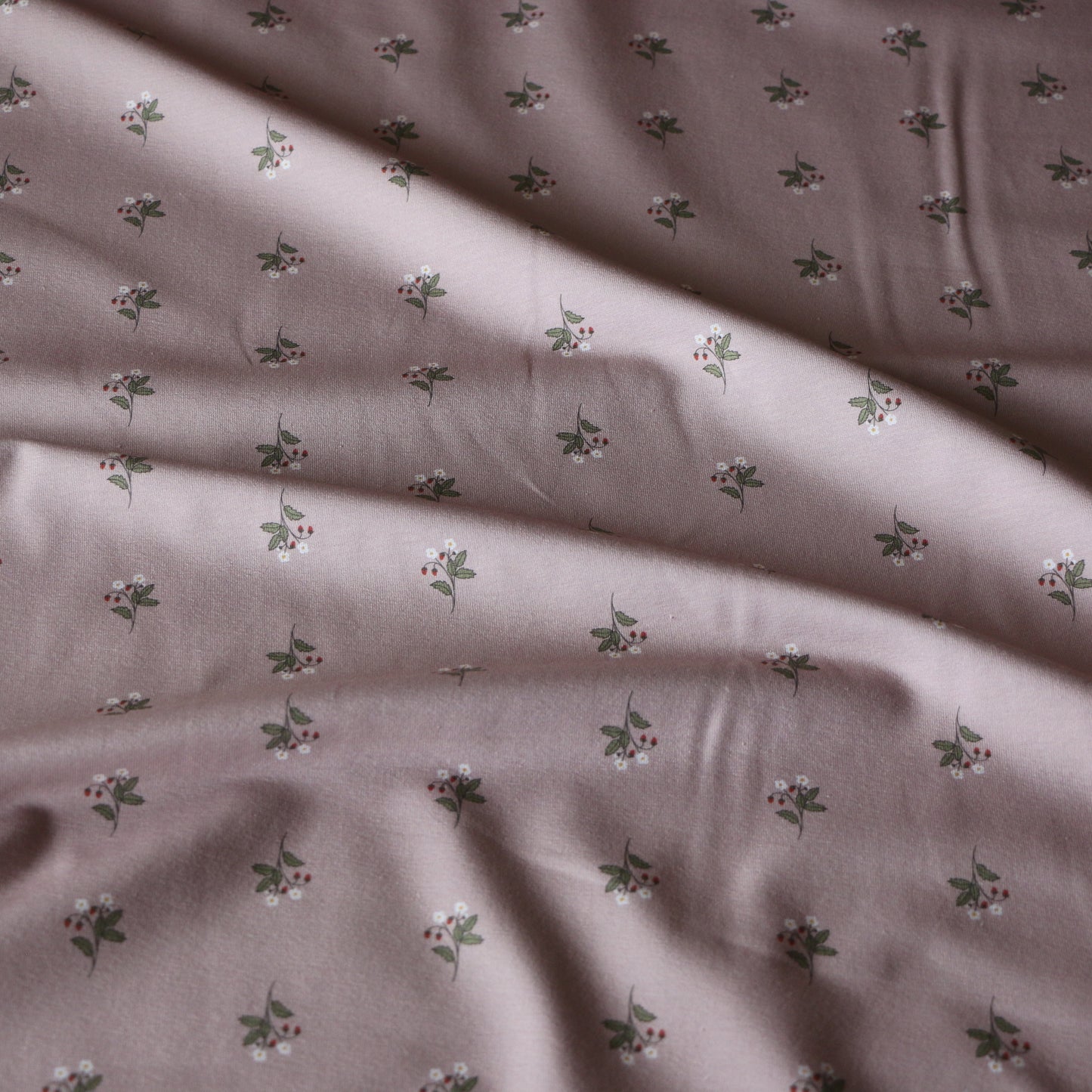 Jersey Walderdbeeren 'Light pink' 0,6m PreCut