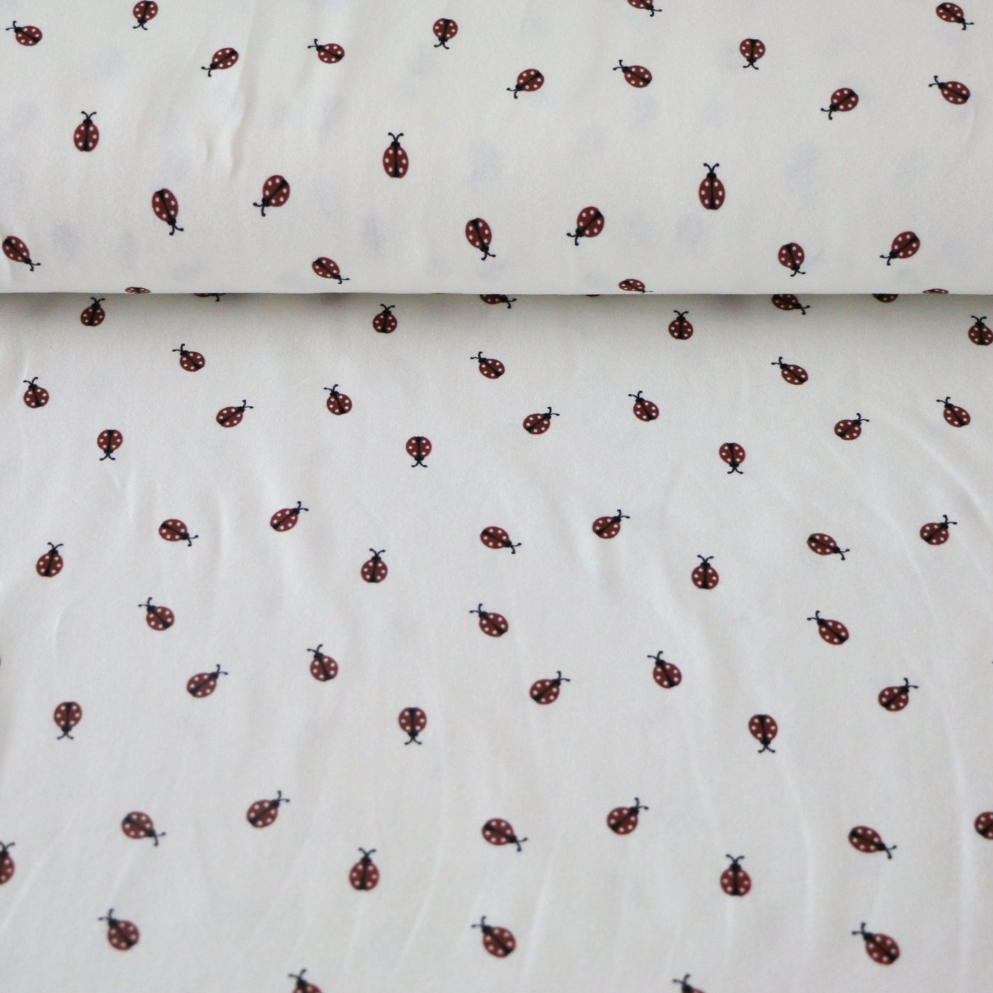 Jersey Ladybug 'Creme'