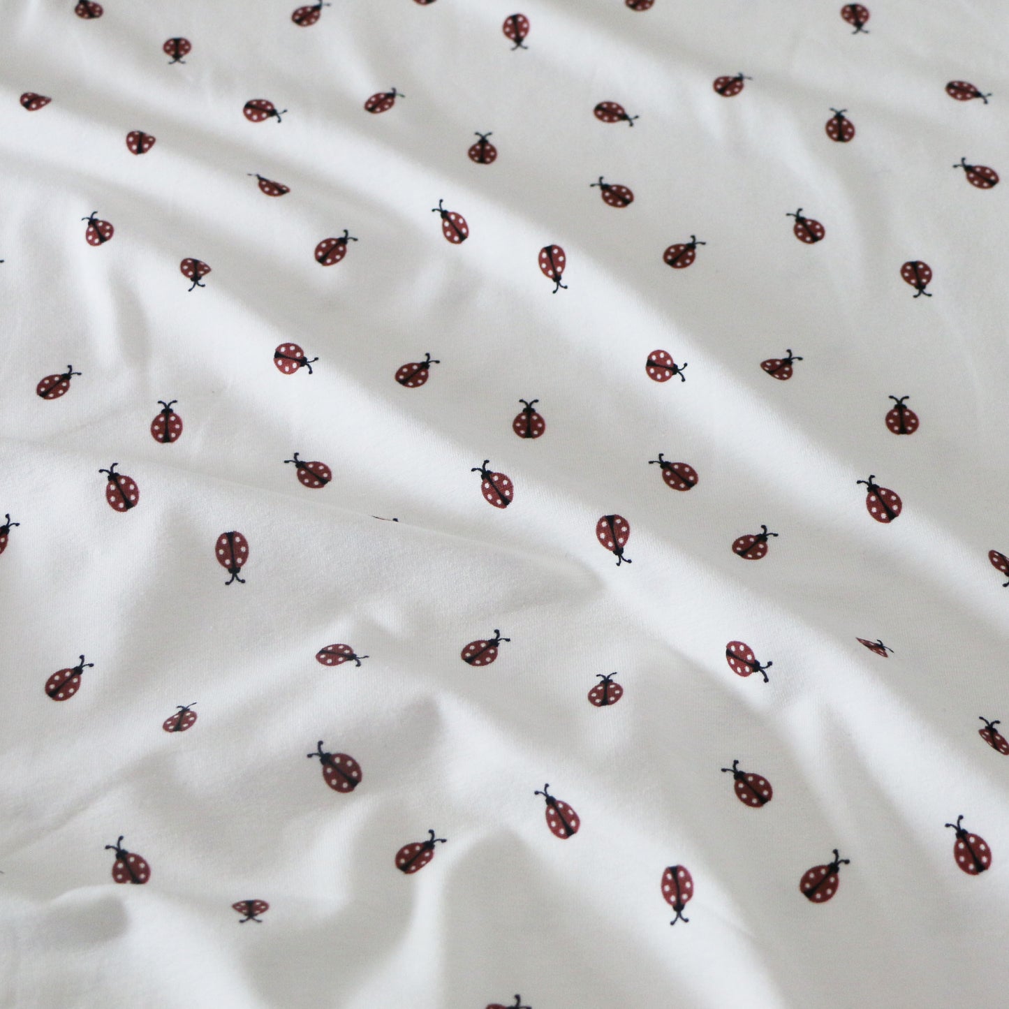 Jersey Ladybug 'Creme'