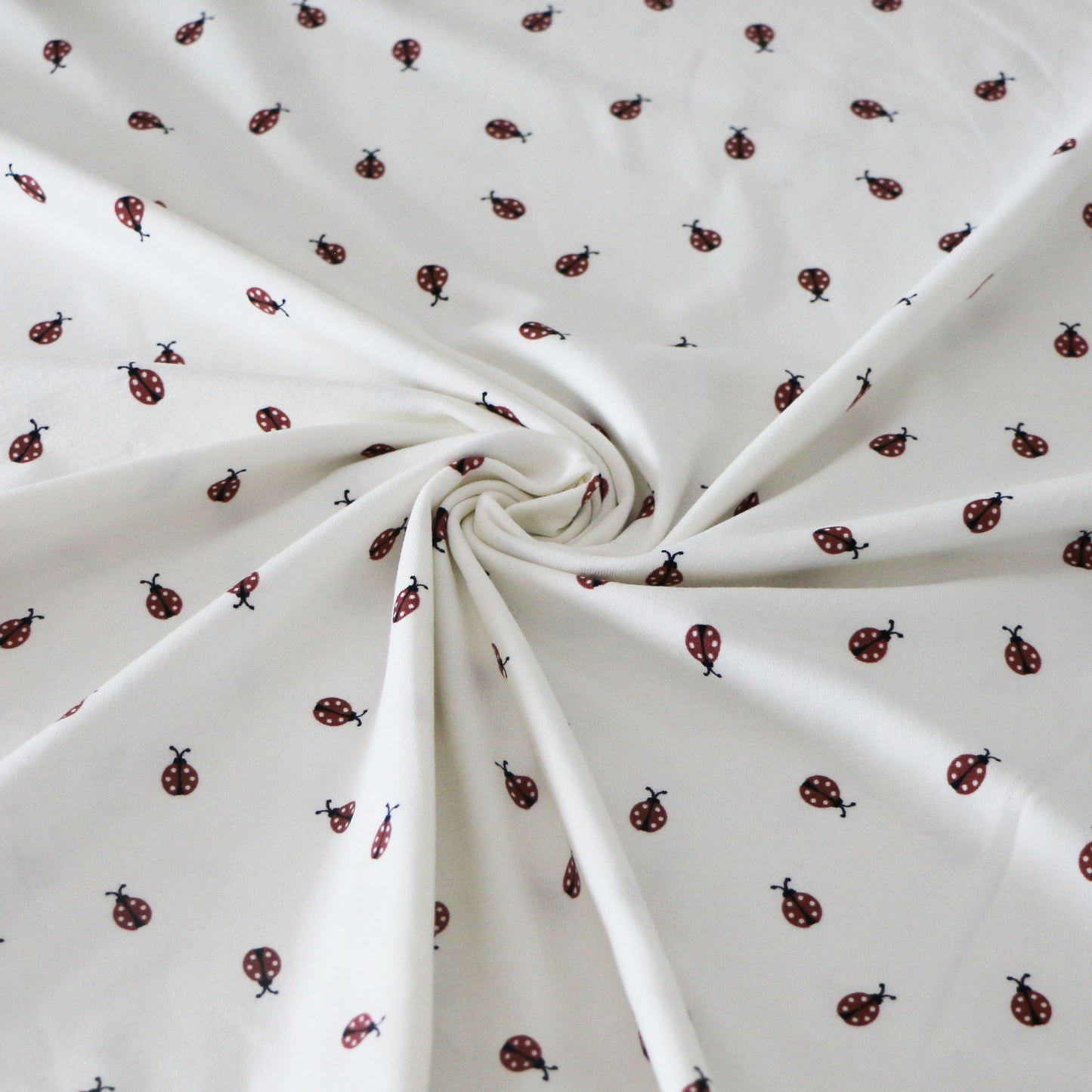 Jersey Ladybug 'Creme'