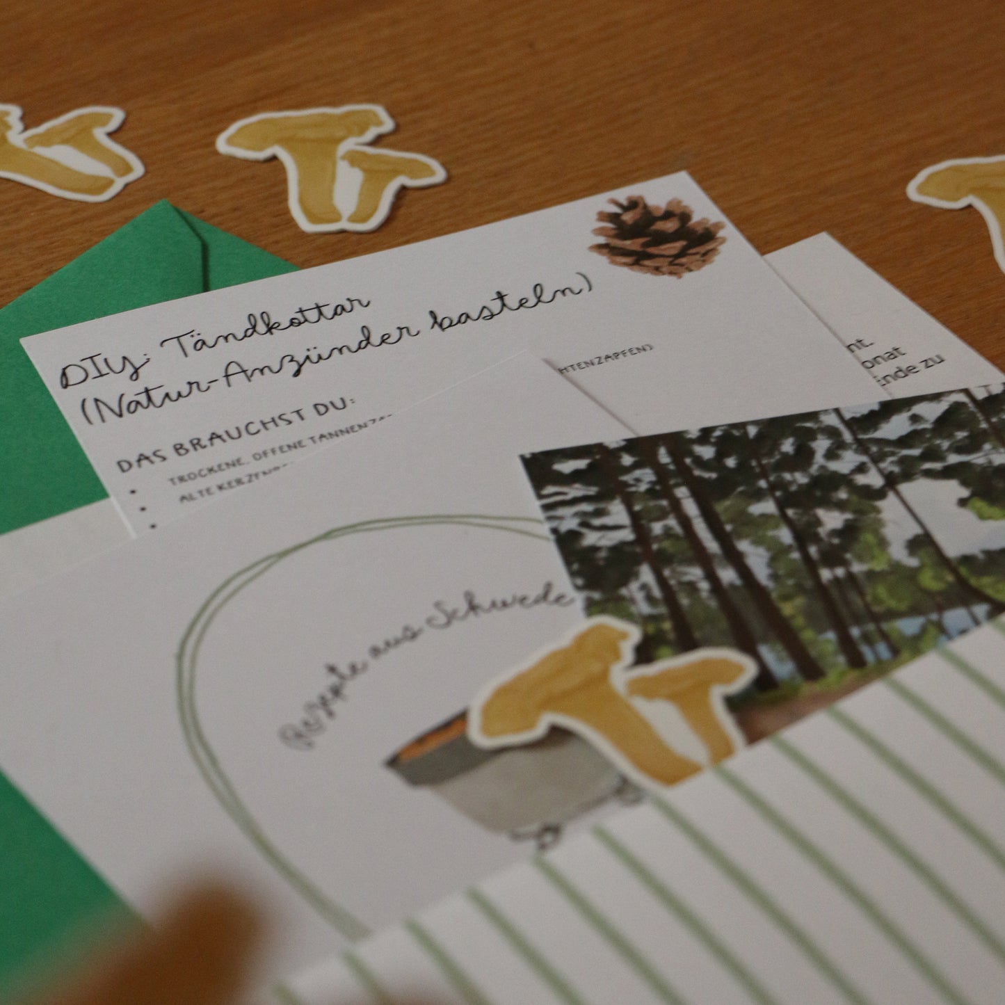 Snail Mail: Briefe aus Schweden Einmalig (bara på tyska)August