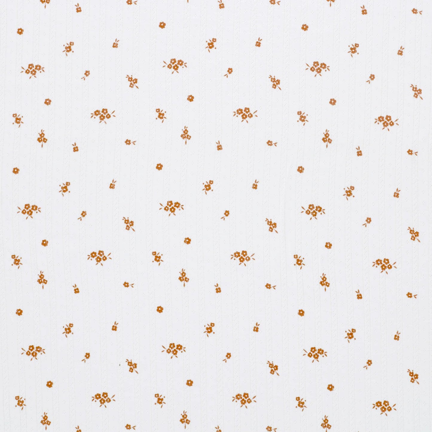 Ponitelle Jersey Vintage 'Creme'