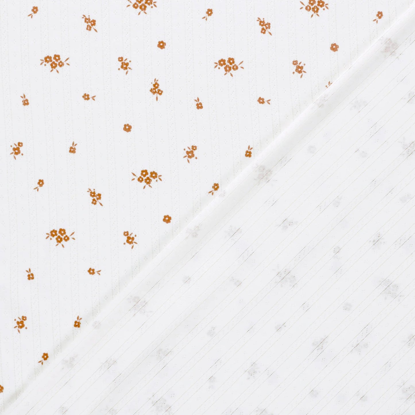 Ponitelle Jersey Vintage 'Creme'